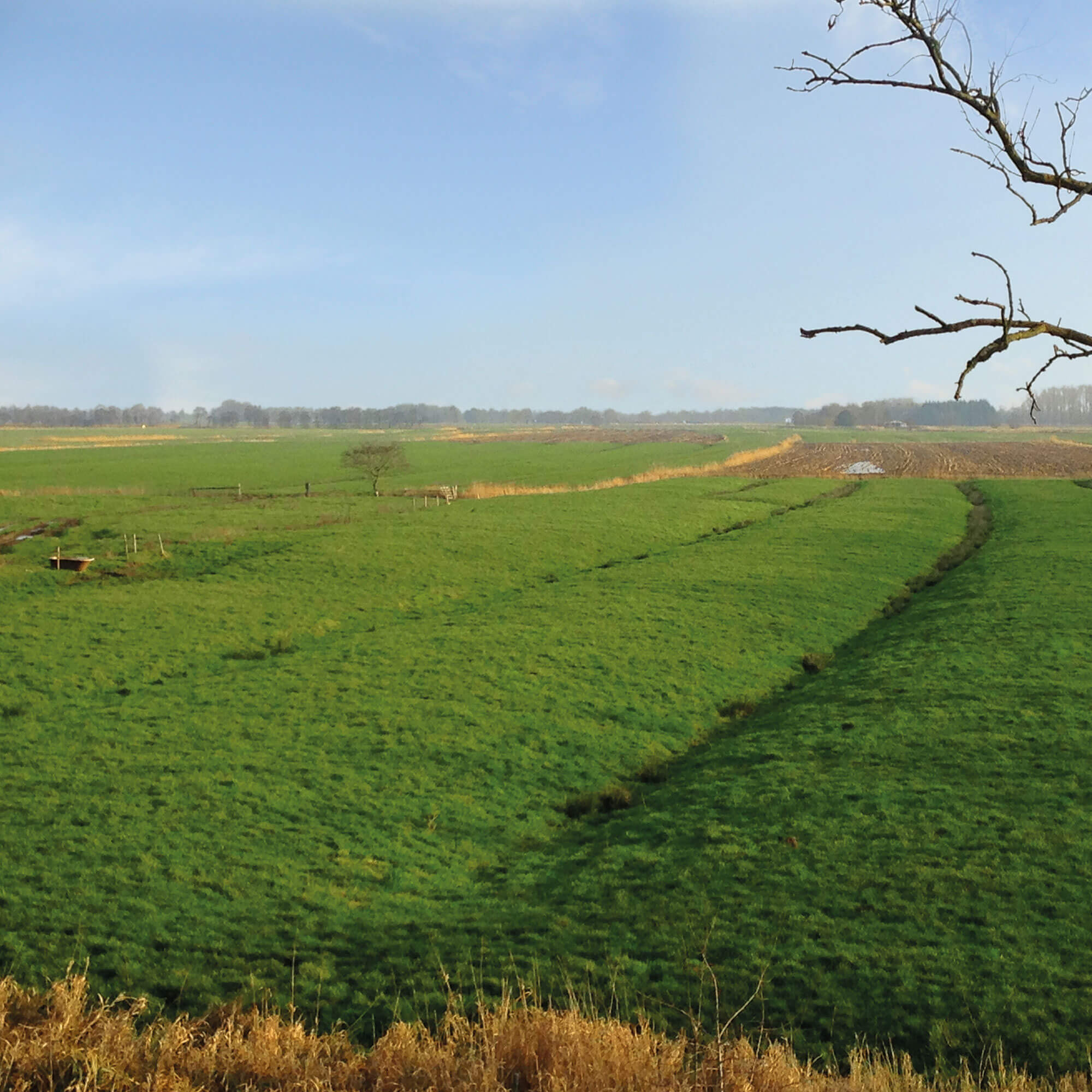 ProvinzWerkstatt – Projekte ProvinzWerkstatt – Projekte