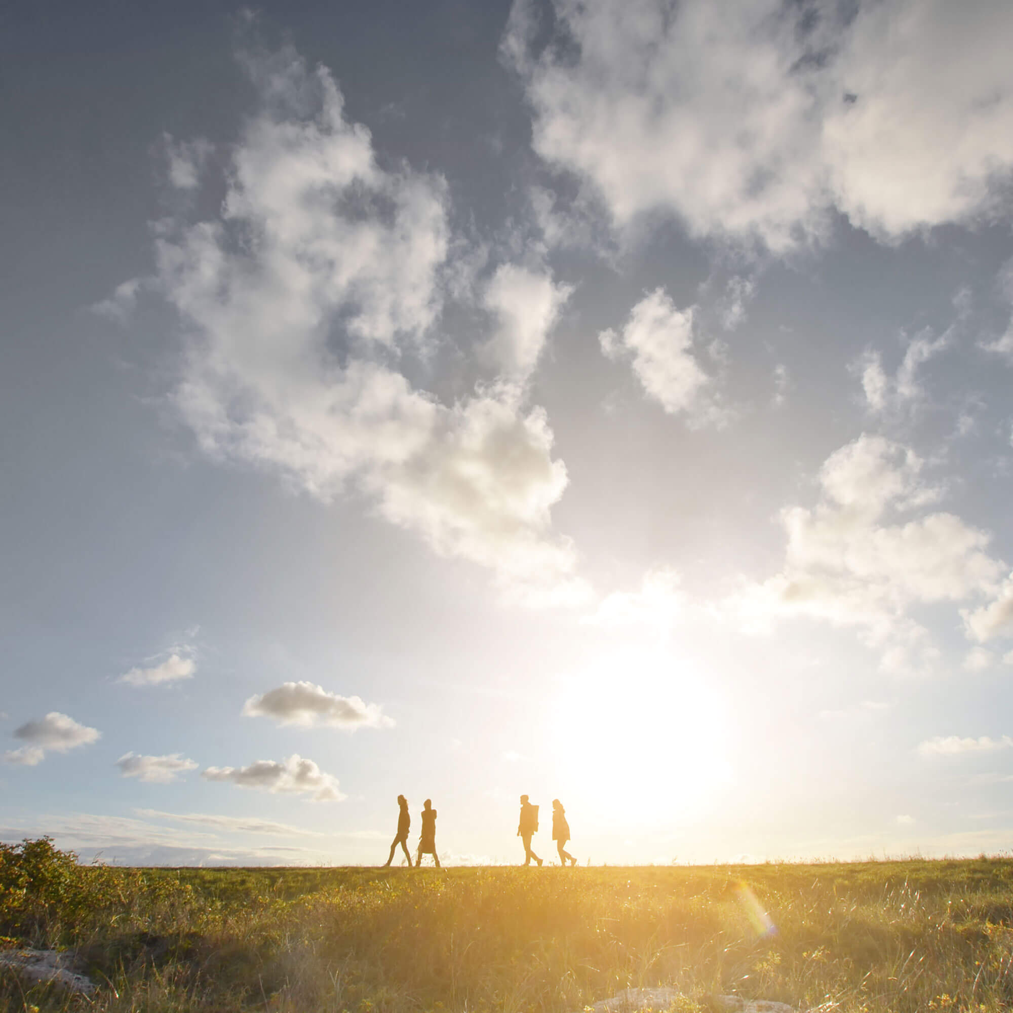 ProvinzWerkstatt – uns gemeinsam auf den Weg machen